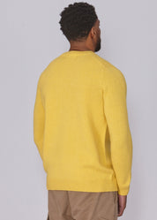Shetland Wool Mens Crew Neck Jumper - Yellow