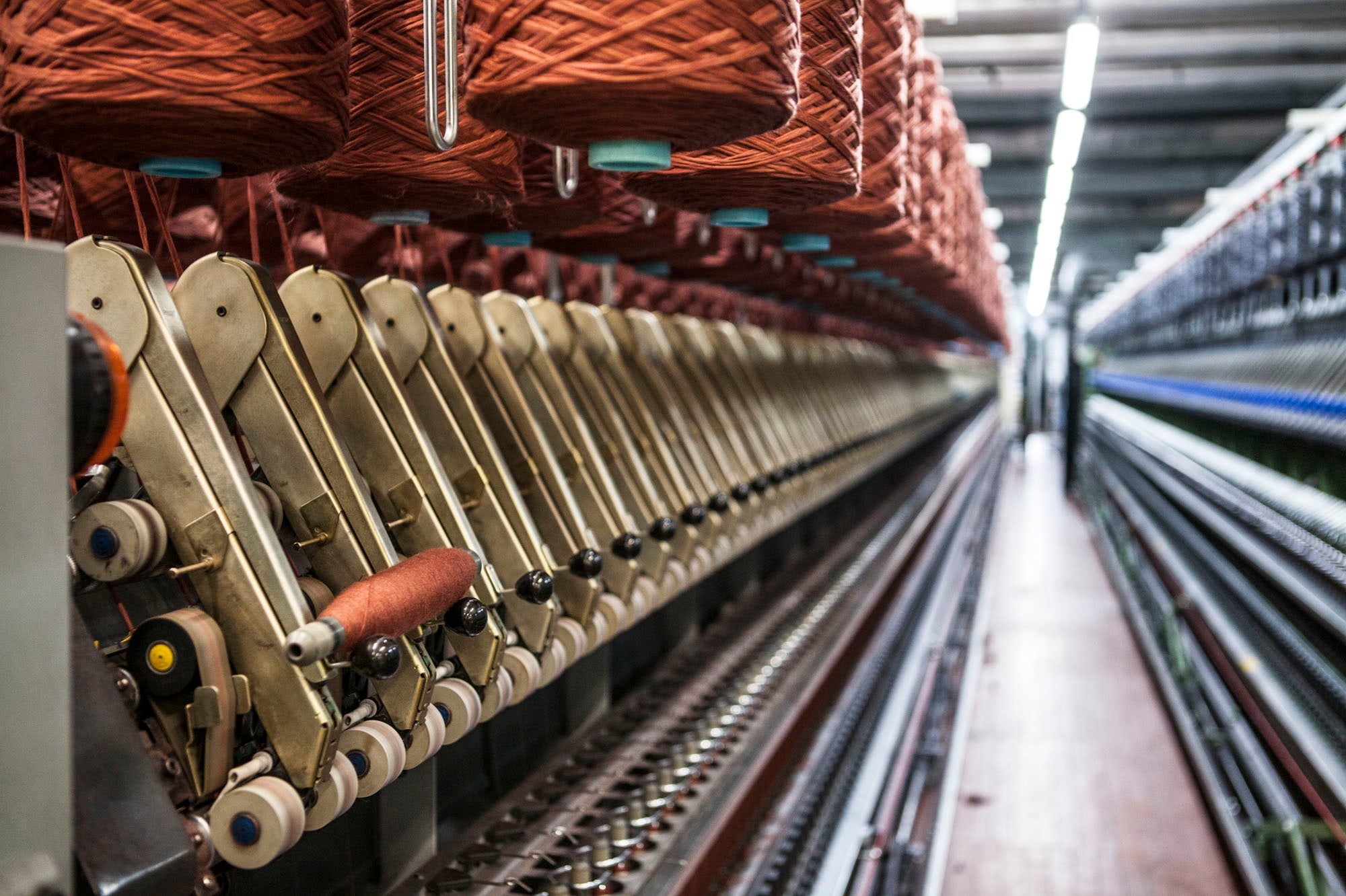 Low Carbon, High Care